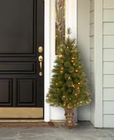 National Tree Company 4' Atlanta Spruce Entrance Tree with 100 Clear Lights