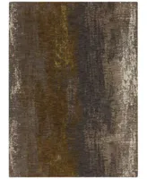 Karastan Enigma Aura Desert Area Rug Collection