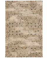 Karastan Touchstone Eme Bronze Area Rug Collection