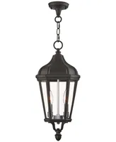 Livex Morgan -Light Pendant