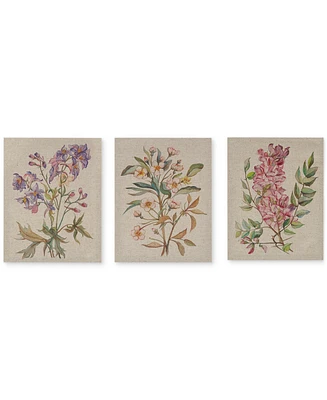 Madison Park Linen Botanicals 3-Pc. Canvas Print Set