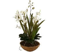 Uttermost Moth Orchid Planter