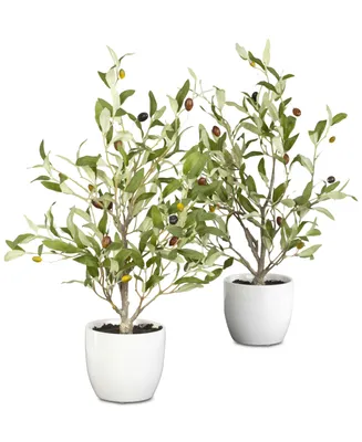 Nearly Natural 2-Pc. 18" Olive Tree Set with Vases