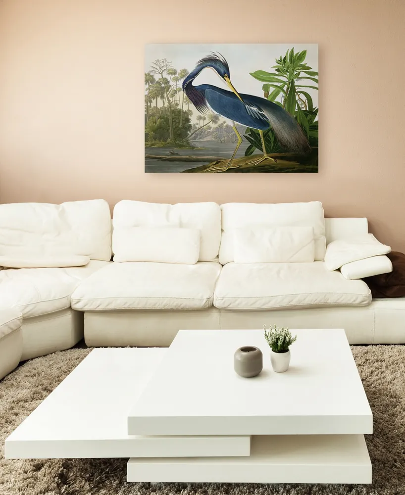 John James Audubon 'Louisiana Heron' Canvas Art