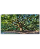 Pierre Leclerc 'Angel Oak Charleston' 24" x 47" Canvas Wall Art