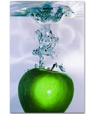 Roderick Stevens 'Apple Splash Ii' 22" x 32" Canvas Art Print