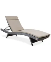 Pietro Outdoor Chaise Lounge with Cushion