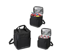 Legacy by Picnic Time Cellar 6-Bottle Wine Carrier & Cooler Tote