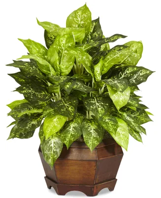 Nearly Natural Variegated Dieffenbachia Artificial Plant in Large Hexagon Planter