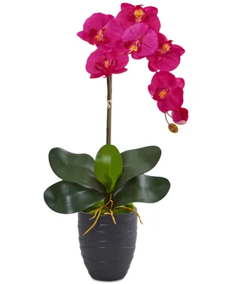 Nearly Natural Phalaenopsis Orchid Artificial Arrangement in Black Vase