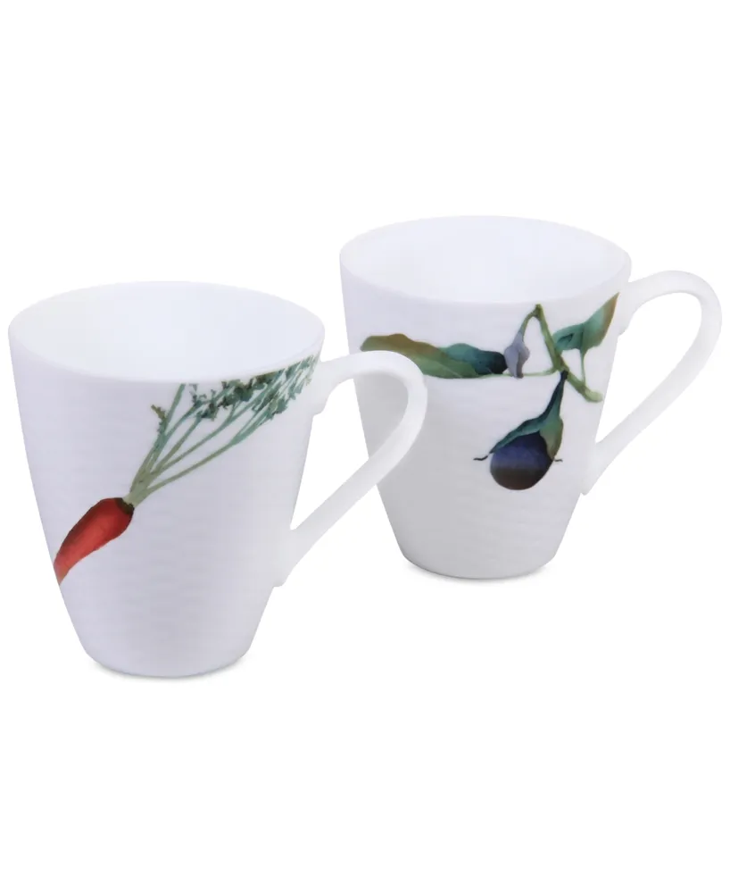 Noritake Kyoka Shunsai 2-Pc. Mug Set