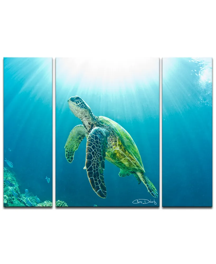 Ready2HangArt 'Sea Turtle' 3