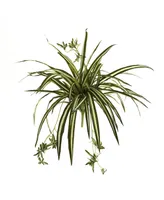 Nearly Natural 4-Pc. 23" Spider Plant Artificial Bush Set