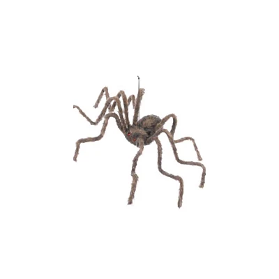 50 Inch Hairy Spider