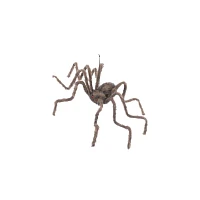 50 Inch Hairy Spider