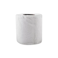No Tear Toilet Paper