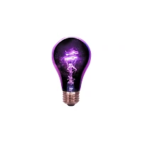 Black Light and White LED Light Bulb