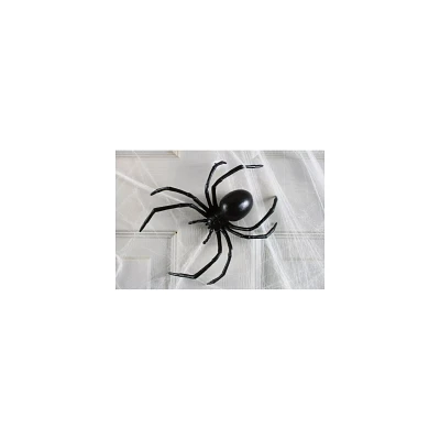 6 Inch Black Widow Spider