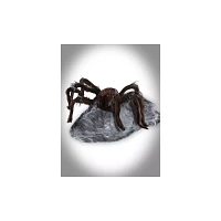 21 In LED Brown Jumping Spider Animatronic