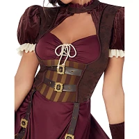 Adult Steampunk Dress Costume