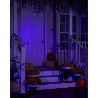 Black Light Strobe Spotlight