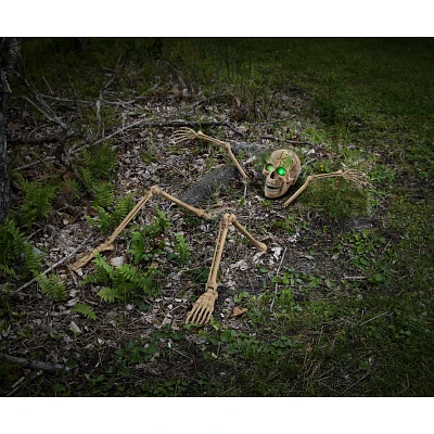 Light-Up Skeletal Remains Groundbreaker