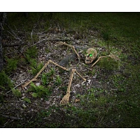 Light-Up Skeletal Remains Groundbreaker