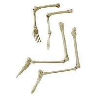 Light-Up Skeletal Remains Groundbreaker