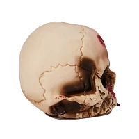 Bloody Skull