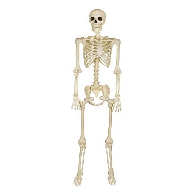 5 Ft Black Light Pose 'N' Stay Skeleton