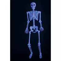 5 Ft Black Light Pose 'N' Stay Skeleton