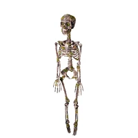 Moss Skeleton
