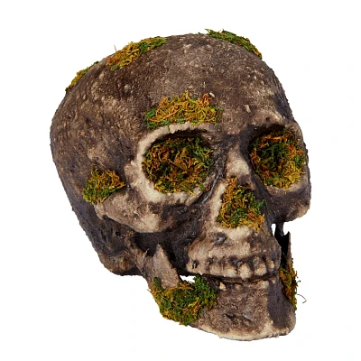 Moss Skull