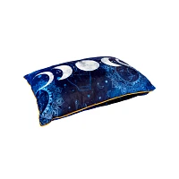 Tarot Moon Phase Pillow