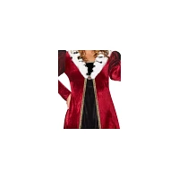 Adult Fairy Tale Queen Costume