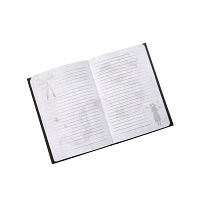 Light-Up Beetlejuice Journal