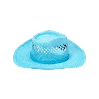Blue Straw Cowboy Hat