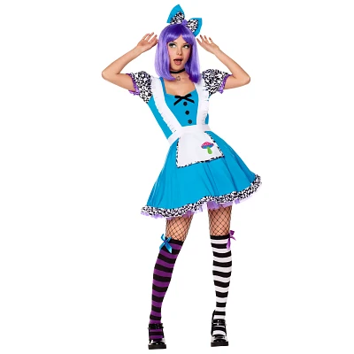 Adult Alice Down the Rabbit Hole Costume