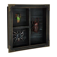Mystical Arts Insect Sign