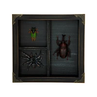 Mystical Arts Insect Sign