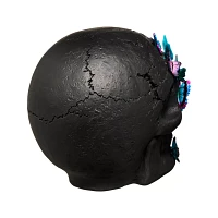 Mystical Arts Black Butterfly Skull