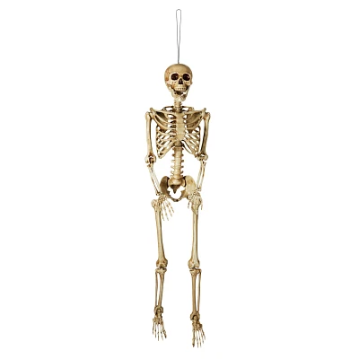5 Ft Poseable Decayed Skeleton