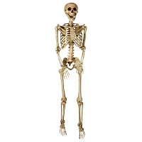 5 Ft Poseable Decayed Skeleton