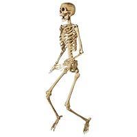 5 Ft Poseable Decayed Skeleton