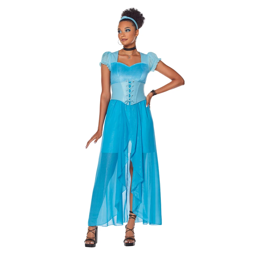 Adult Cinderella Dress Costume- Disney Princess