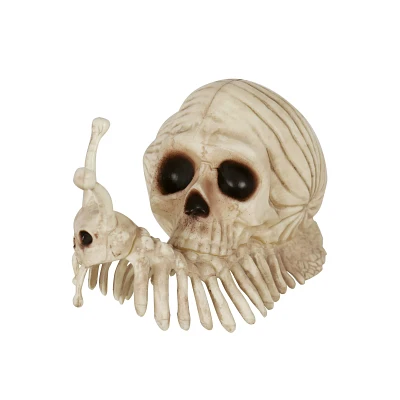 Skeleton Skull Snail