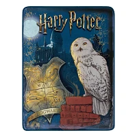Harry Potter Magical World Fleece Blanket