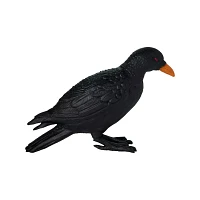 Creepy Crow