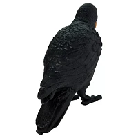 Creepy Crow