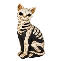 Mystical Arts Light-Up Skeleton Cat